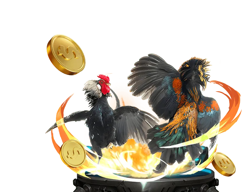 Hỗ trợ khách hàng và FAQ i9bet